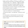 21 Mókus Tomi: A félig eltűnt répatorta rejtélye 3. osztályosoknak nyomozós PDF feladatlapcsomag
