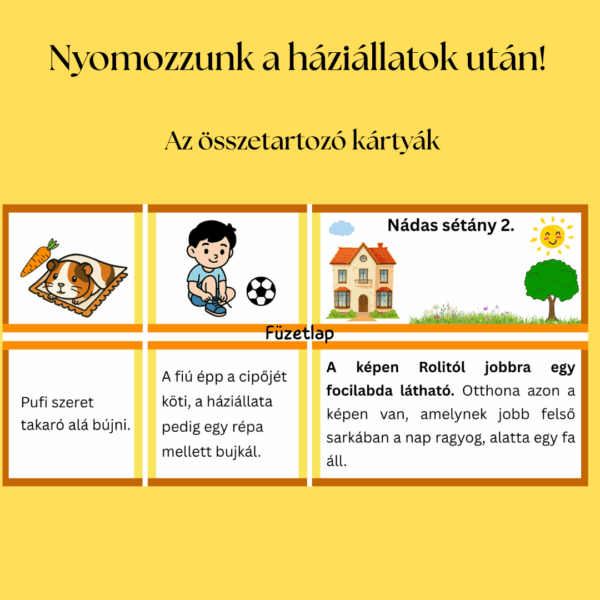 Háziállatos nyomozás – alap PDF csomag