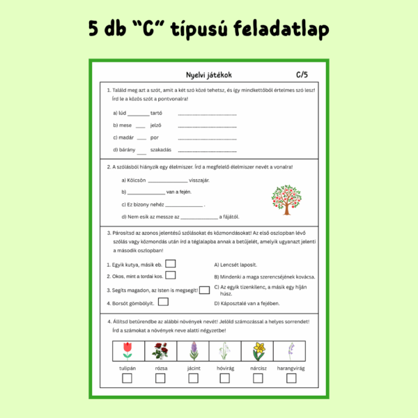 9 Magyar nyelvi játékok PDF feladatlapcsomag