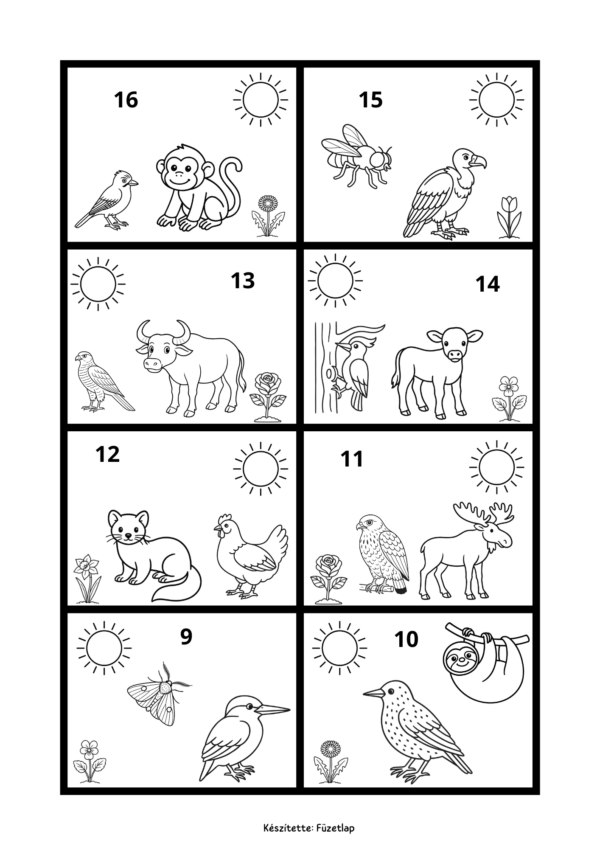 J–LY állatok és madarak – képolvasó feladatlapcsomag (PDF)