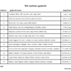 2 Téli nyelvtani gyakorló - játékos feladatlapcsomag (PDF)